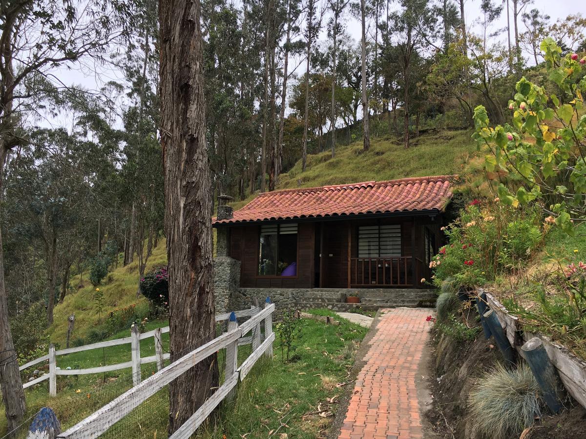 Cabanas Valle Del Cocora La Truchera Salento Exterior photo