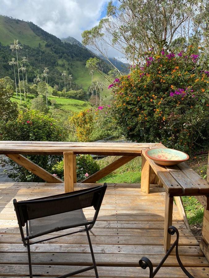 Cabanas Valle Del Cocora La Truchera Salento Exterior photo